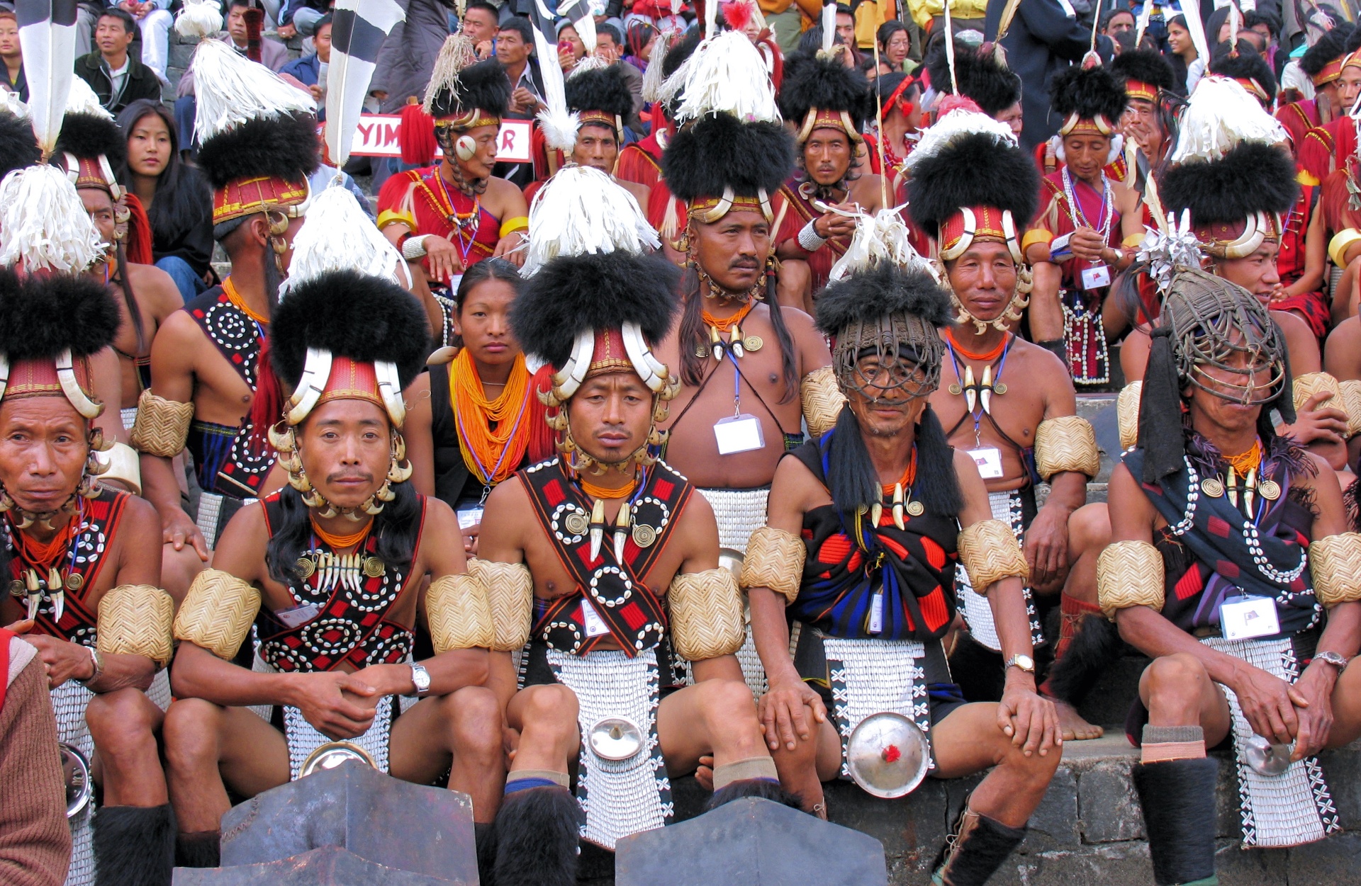 Naga warriors in traditional attire at the Hornbill Festival, Kisama, Nagaland